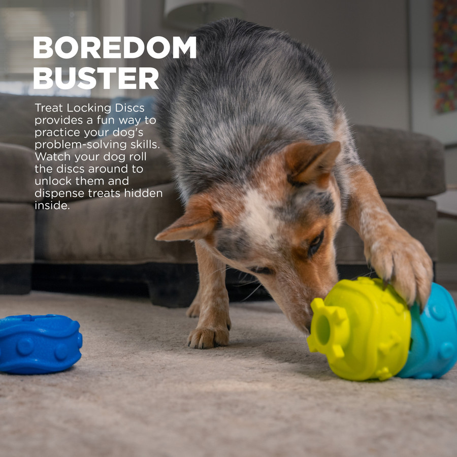 Treat Locking Discs Dog Treat Dispenser Multi