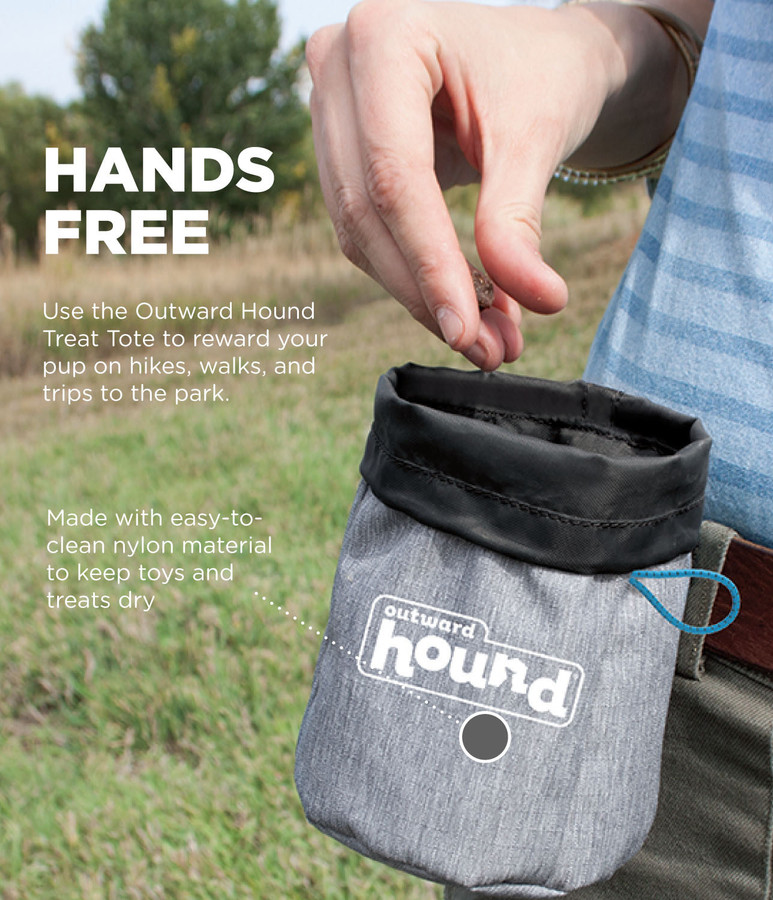 Treat Tote Hands-Free Dog Training Pouch Grey