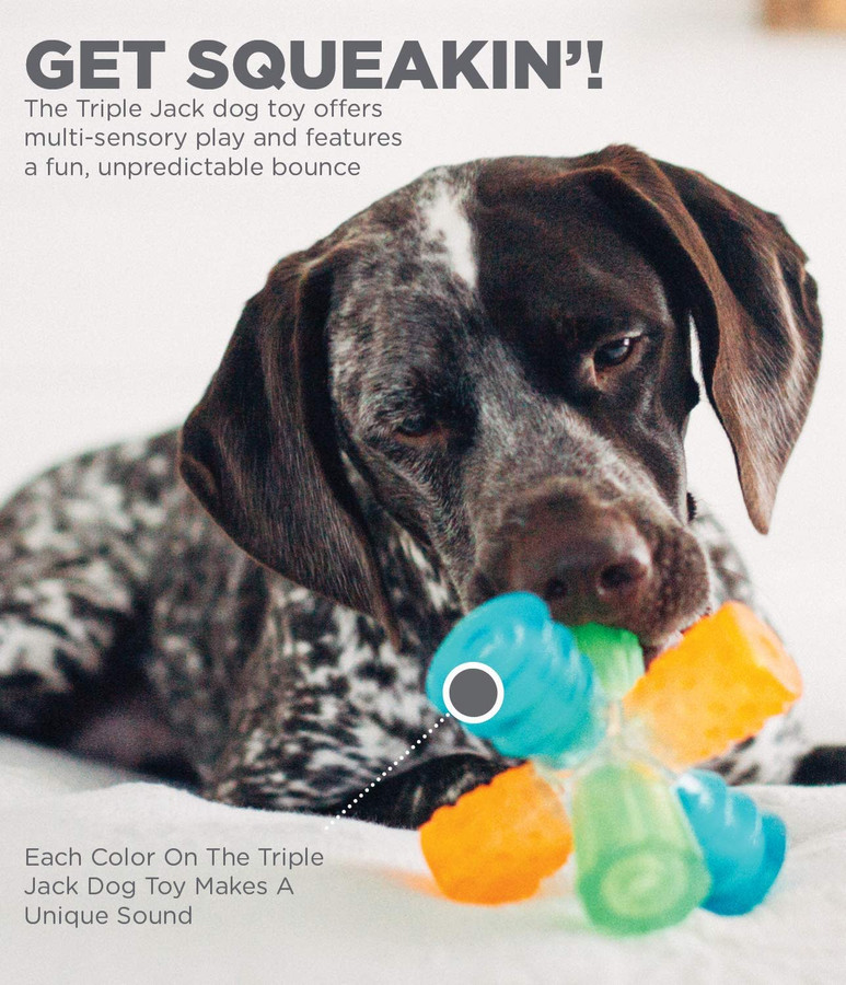 Triple Jack Interactive Multi-Squeak Dog Toy Multi