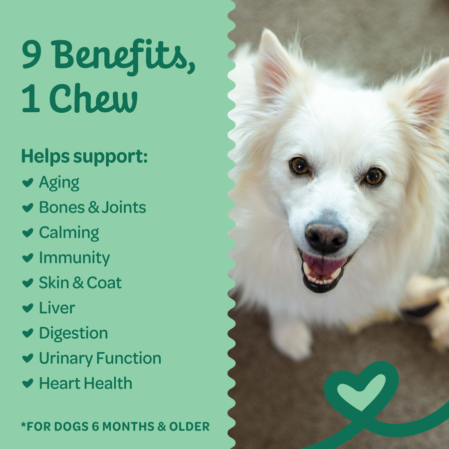 Wholesome Pride 9-in-1 Multi-Chews Supplement For Dogs 6.3oz