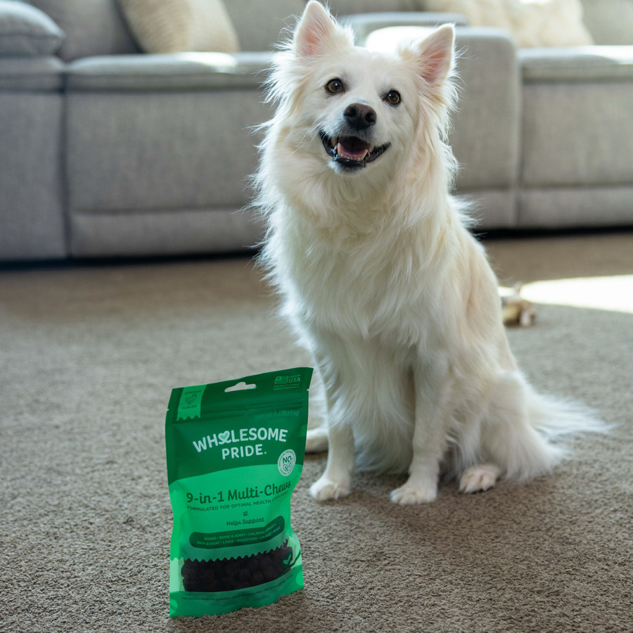 Wholesome Pride 9-in-1 Multi-Chews Supplement For Dogs 6.3oz