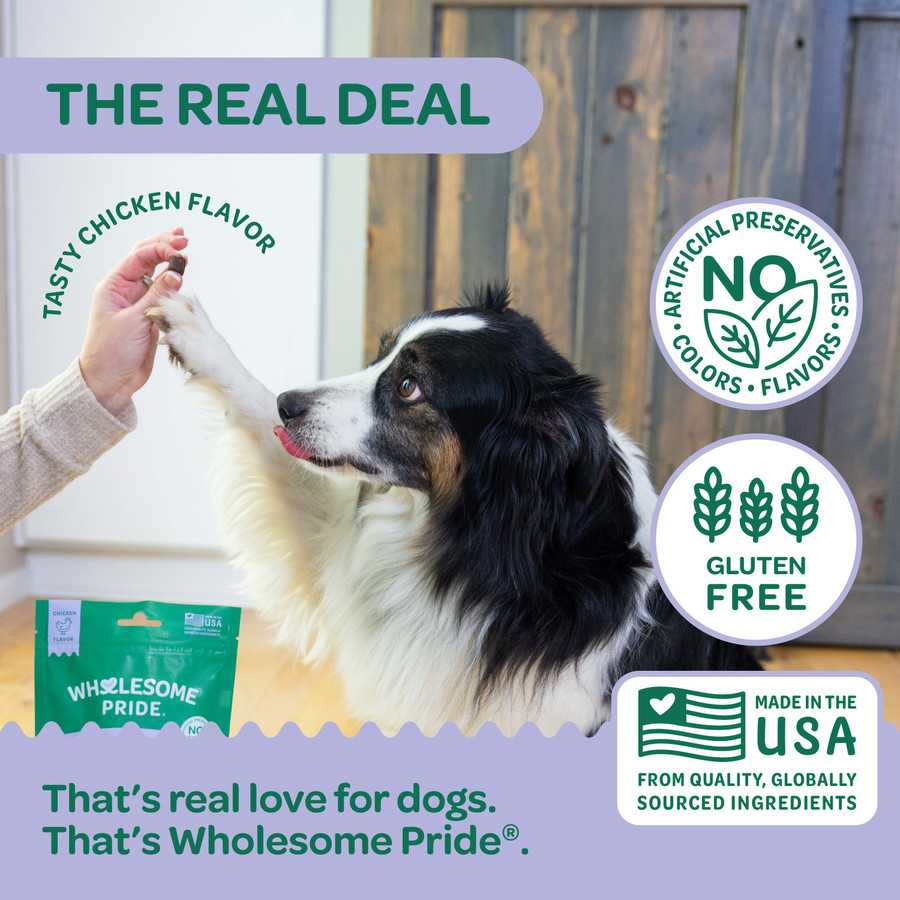 Wholesome Pride Hip And Joint Chews 7.9 Oz