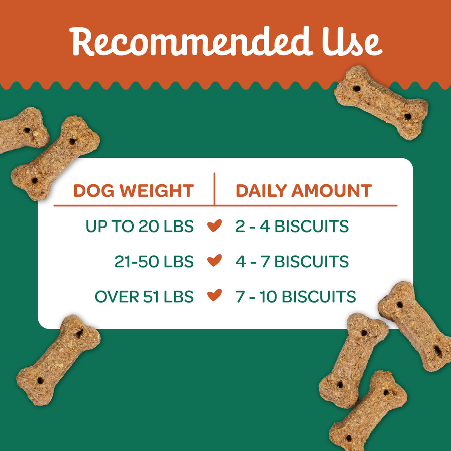Wholesome Pride Nature's Biscuits Mini Dog Treats 16oz