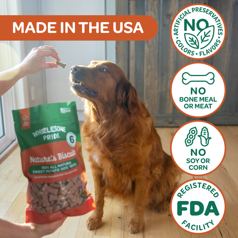 Wholesome Pride Nature's Biscuits Mini Dog Treats 16oz
