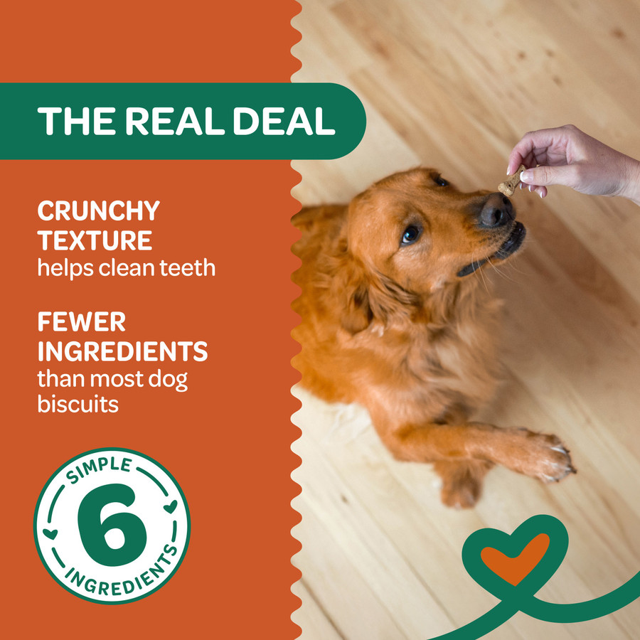 Wholesome Pride Nature's Biscuits Mini Dog Treats 16oz