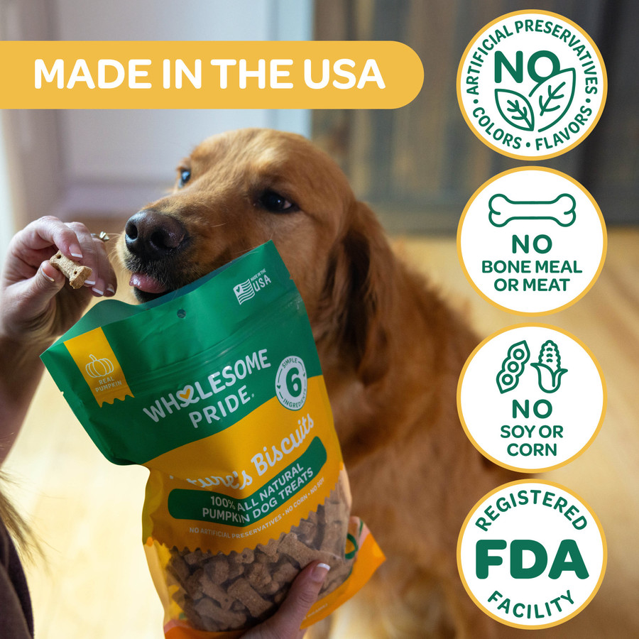 Wholesome Pride Nature's Biscuits Mini Dog Treats Pumpkin 16oz