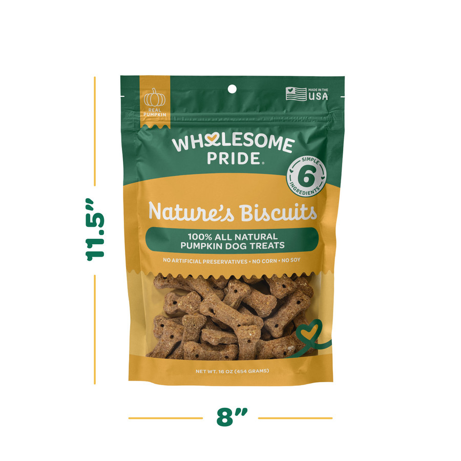 Wholesome Pride Nature's Biscuits Mini Dog Treats Pumpkin 16oz