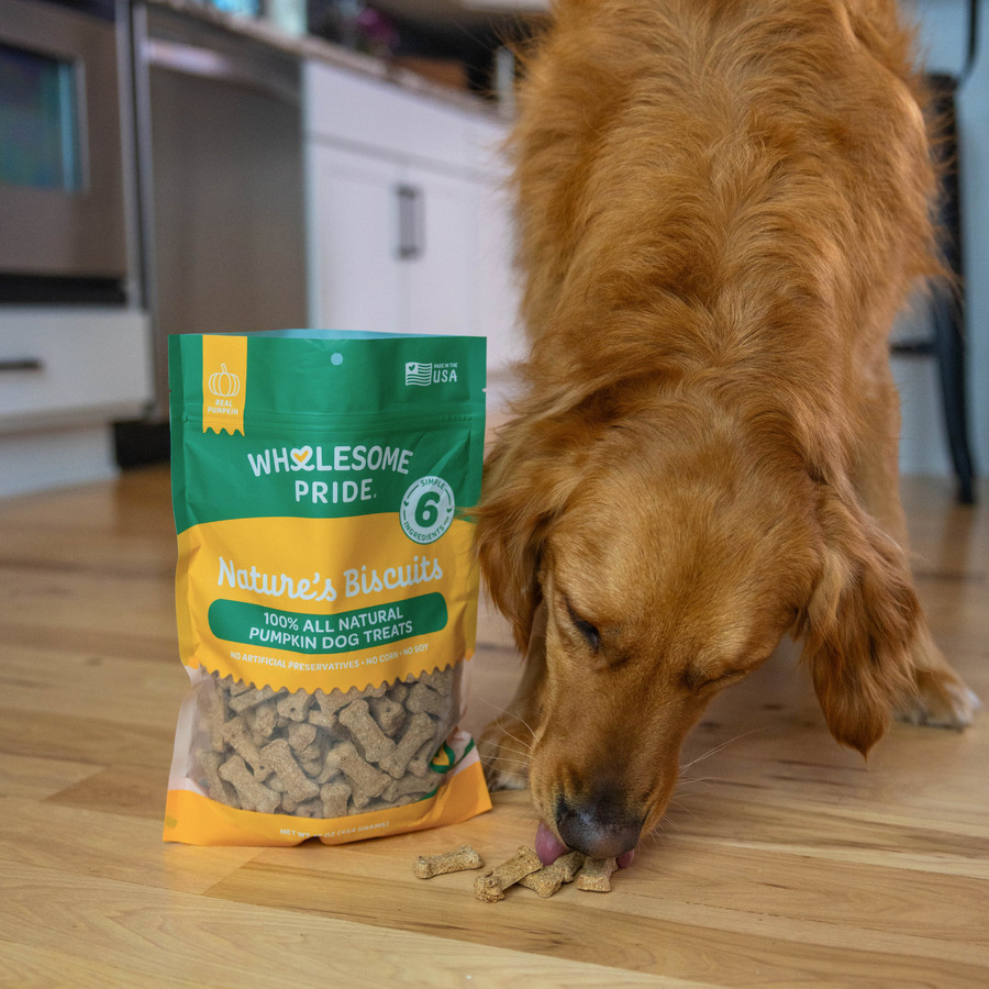 Wholesome Pride Nature's Biscuits Mini Dog Treats Pumpkin 16oz