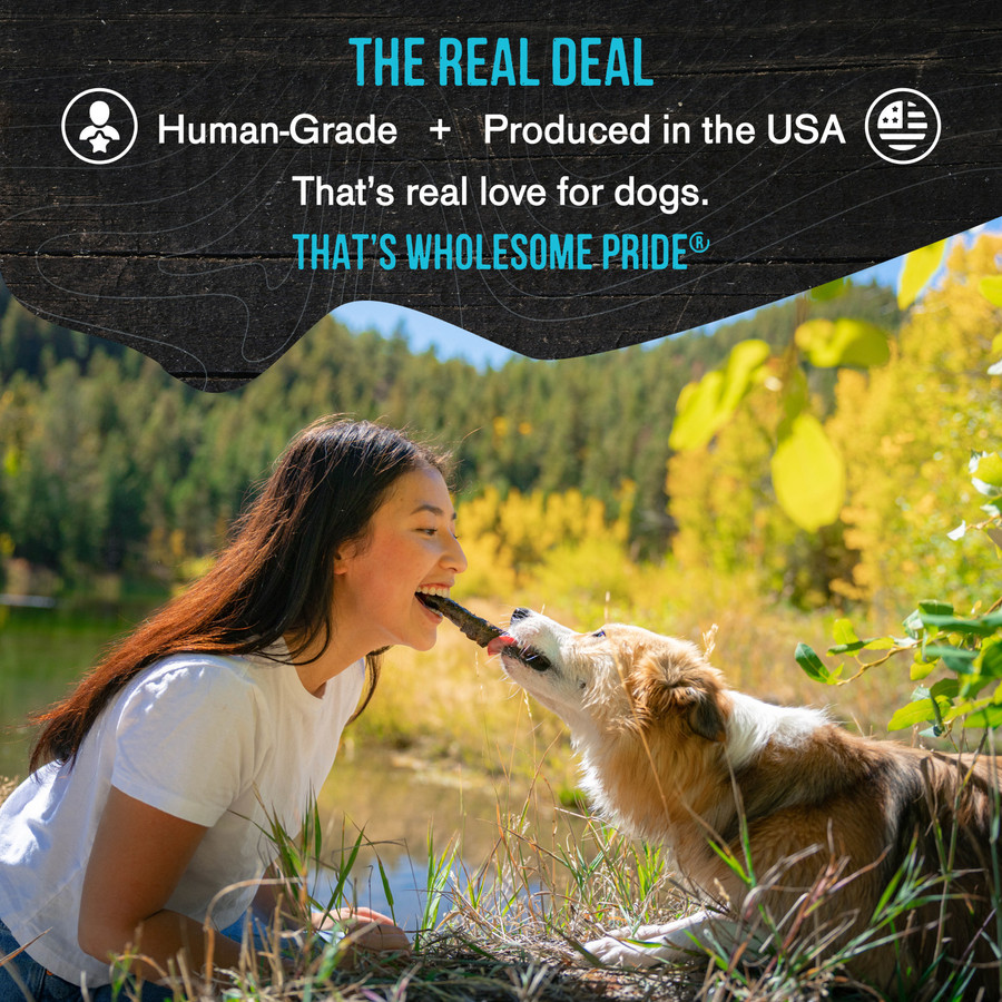 Wholesome Pride Smoked Salmon Skins Dog Treats 4oz