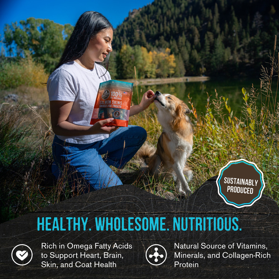 Wholesome Pride Smoked Salmon Skins Dog Treats 4oz