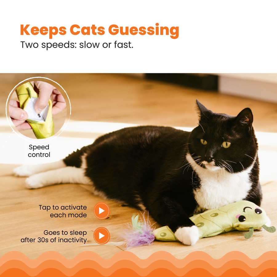 Wiggle Worm Flopping Toy