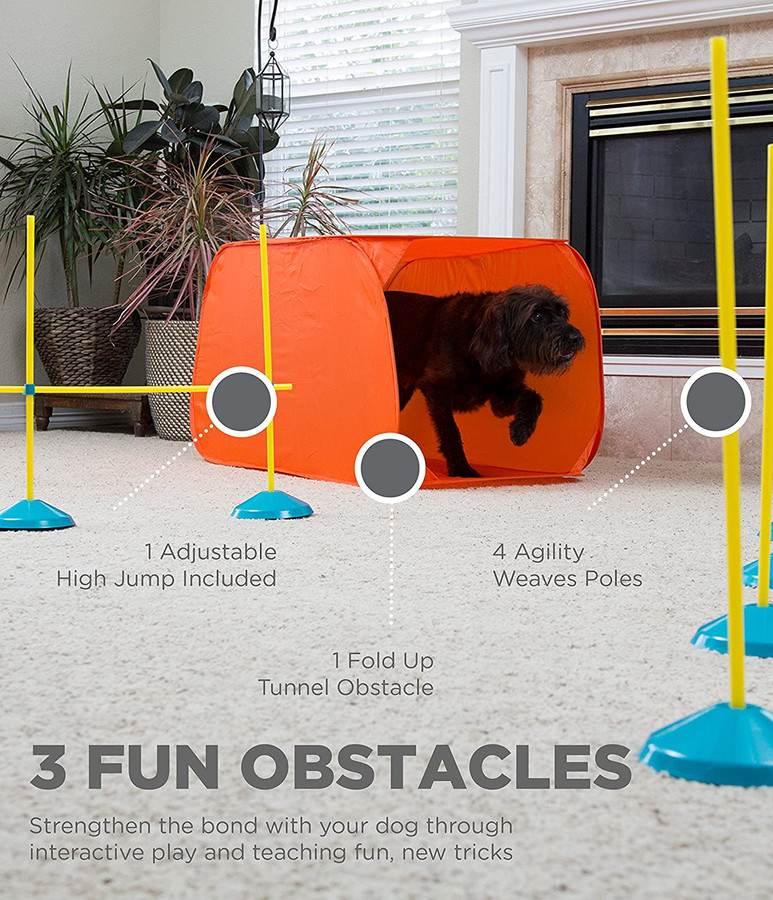 Zip & Zoom Indoor Dog Agility Training Kit For Dogs Multi