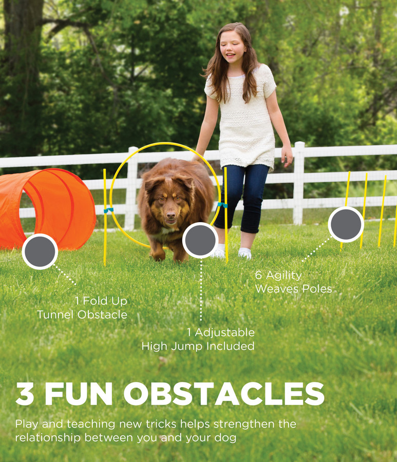 Zip & Zoom Outdoor Dog Agility Training Kit For Dogs Multi