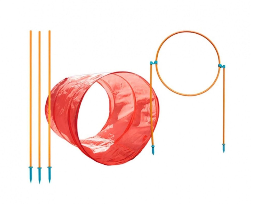 Zip & Zoom Outdoor Dog Agility Training Kit for Dogs Multi